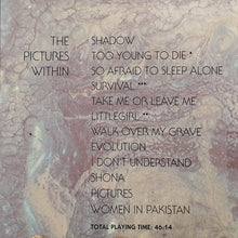 Load image into Gallery viewer, Maryen Cairns : The Pictures Within (CD, Album)