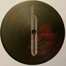 Load image into Gallery viewer, Chelsea Wolfe : Birth Of Violence  (LP, Album)