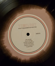 Load image into Gallery viewer, Timelost : Don't Remember Me For This (LP, Album, Ltd, Bla)