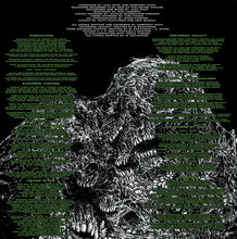 Load image into Gallery viewer, Cemetery Filth : Dominion (LP, Album, Ltd, Ora)