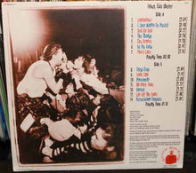 Load image into Gallery viewer, The Drones : Take Shelter (LP, Album, Ltd)