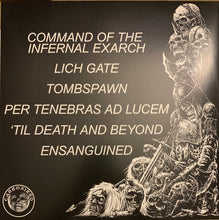Load image into Gallery viewer, Steel Bearing Hand : Slay In Hell (LP, Album, Sil)