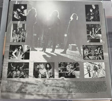 Load image into Gallery viewer, Raven (6) : Nothing Exceeds Like Excess (LP, Album)