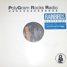 Load image into Gallery viewer, Rainbirds : Blueprint (12", EP, Promo)