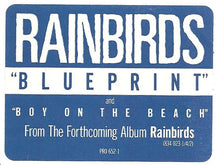 Load image into Gallery viewer, Rainbirds : Blueprint (12", EP, Promo)