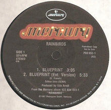 Load image into Gallery viewer, Rainbirds : Blueprint (12", EP, Promo)