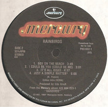 Load image into Gallery viewer, Rainbirds : Blueprint (12", EP, Promo)