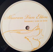 Load image into Gallery viewer, Sharon Van Etten : Because I Was In Love (LP, Album)