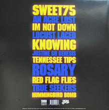 Load image into Gallery viewer, Sleigh Bells : Texis (LP, Album, Cle)