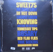 Load image into Gallery viewer, Sleigh Bells : Texis (LP, Album, Cle)