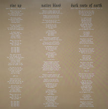 Load image into Gallery viewer, Testament (2) : Dark Roots Of Earth (2xLP, Album, Ltd, RP, Cle)