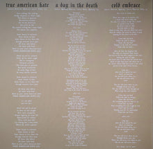 Load image into Gallery viewer, Testament (2) : Dark Roots Of Earth (2xLP, Album, Ltd, RP, Cle)