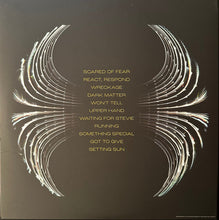 Load image into Gallery viewer, Pearl Jam : Dark Matter (LP, Album)