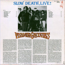 Load image into Gallery viewer, Flamin Groovies* : Slow Death, Live! (LP, Album)
