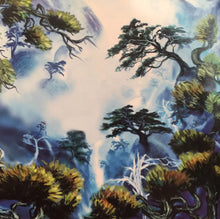 Load image into Gallery viewer, Royal Philharmonic Orchestra : Plays The Music Of Rush (CD, Album)