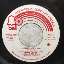 Load image into Gallery viewer, Davy Jones : I Really Love You (7", Single, Mono, Promo, Styrene)