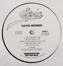 Load image into Gallery viewer, David Werner : David Werner (LP, Album, Promo)