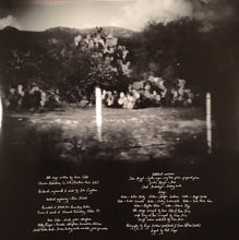Load image into Gallery viewer, Anna Calvi : One Breath (LP, Album)
