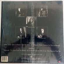Load image into Gallery viewer, Metal Church : Blessing In Disguise (LP, Album)