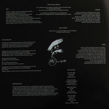 Load image into Gallery viewer, Chelsea Wolfe : Ἀποκάλυψις (LP, Album, Ltd, RE, Ora)