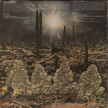 Load image into Gallery viewer, Armageddon (6) : Armageddon (LP, Album, Ter)