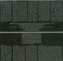 Load image into Gallery viewer, Torres (2) : Sprinter (LP, Album, Club, 180)