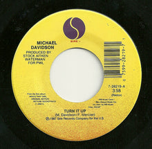 Load image into Gallery viewer, Michael Davidson : Turn It Up (7", Single)