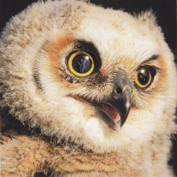 Buy Heltah Skeltah : Nocturnal (CD, Album) Online for a