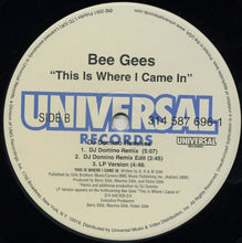 Load image into Gallery viewer, Bee Gees : This Is Where I Came In (DJ Domino Remixes) (12", Single)