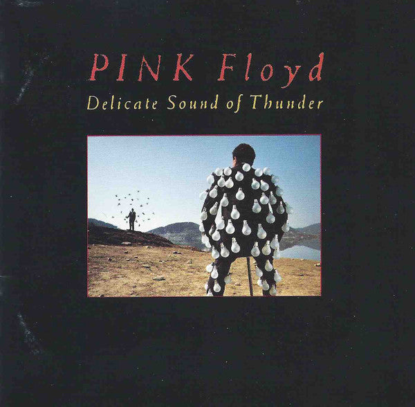 Pink Floyd - Delicate Sound Of Thunder (Tape 1 of 2) Cassette Tape