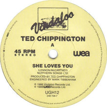 Load image into Gallery viewer, Ted Chippington : She Loves You (And You Know That Can't Be Bad) (7")