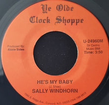 Load image into Gallery viewer, Sally Windhorn : 29 Ways (7", Single)