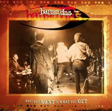 Load image into Gallery viewer, The Barracudas* : What You Want Is What You Get (7")
