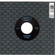 Load image into Gallery viewer, Pearl Jam / The Frogs : Immortality / Rearviewmirror (7")