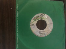 Load image into Gallery viewer, The Doors : Riders On The Storm (7", Single, Styrene)