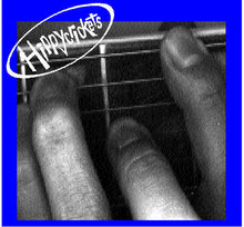 Load image into Gallery viewer, The Hippycrickets : G Chord!!! (7", Single)