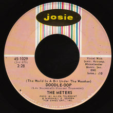 Load image into Gallery viewer, The Meters : (The World Is A Bit Under The Weather) Doodle-Oop (7", Single)