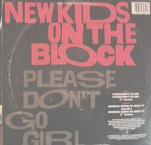 Load image into Gallery viewer, New Kids On The Block : Please Don&#39;t Go Girl (12&quot;)