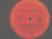 Load image into Gallery viewer, New Kids On The Block : Please Don&#39;t Go Girl (12&quot;)