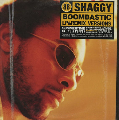 Shaggy : Boombastic (12