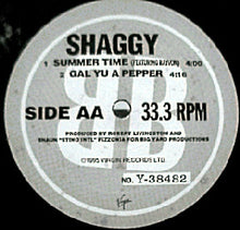 Load image into Gallery viewer, Shaggy : Boombastic (12&quot;)