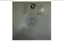 Load image into Gallery viewer, Various : Tasty New Releases (LP, Promo, Smplr)