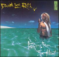 Load image into Gallery viewer, David Lee Roth : Crazy From The Heat (12", EP, Club, Car)