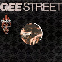 Load image into Gallery viewer, Gravediggaz : Diary Of A Madman / Constant Elevation (12", Single)