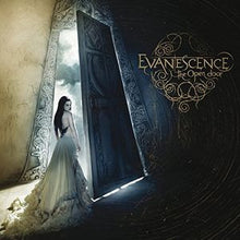 Load image into Gallery viewer, Evanescence : The Open Door (2xLP, Album, RE)