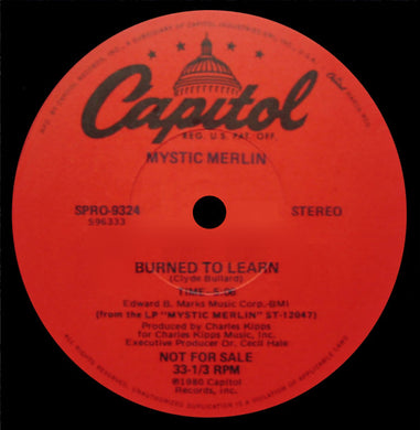 Mystic Merlin / Neftali's Beast : Burned To Learn / Land Of The Drums (12