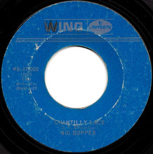 Load image into Gallery viewer, Big Bopper : Chantilly Lace (7", Single)