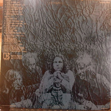 Load image into Gallery viewer, The Doors : 13 (LP, Comp, RE, Spe)
