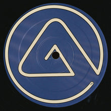 Load image into Gallery viewer, Whitney Houston : I Learned From The Best (HQ² Mixes) (12&quot;, Promo)