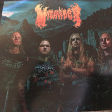 Load image into Gallery viewer, Micawber (2) : Beyond the Reach of Flame (LP, Album, Blu)